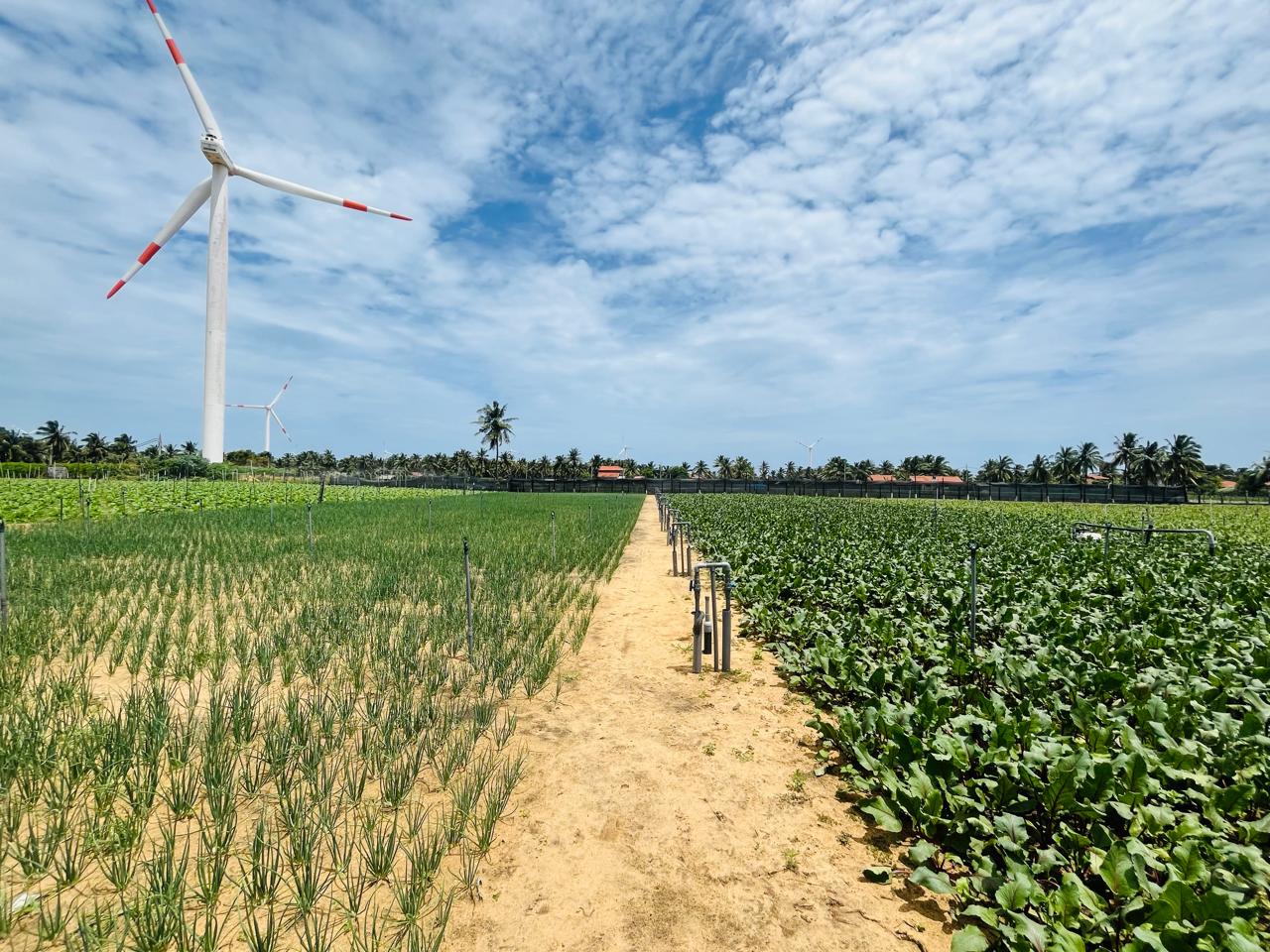 Agricultural Solutions